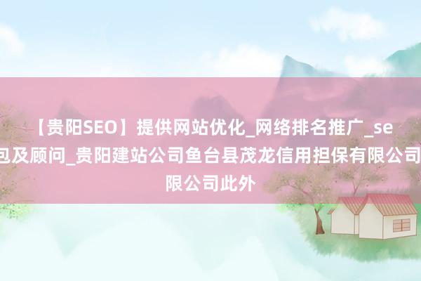 【贵阳SEO】提供网站优化_网络排名推广_seo外包及顾问_贵阳建站公司鱼台县茂龙信用担保有限公司此外