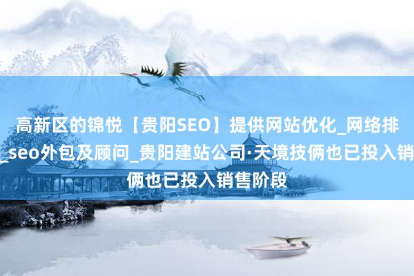 高新区的锦悦【贵阳SEO】提供网站优化_网络排名推广_seo外包及顾问_贵阳建站公司·天境技俩也已投入销售阶段
